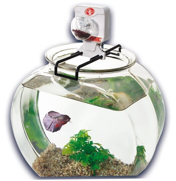 Distributeur Automatique de Nourriture pour Aquarium-Poisson