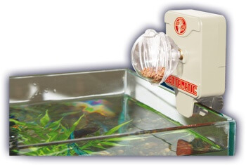 Distributeur Nourriture Poisson Aquarium Automatique - Mangeoire