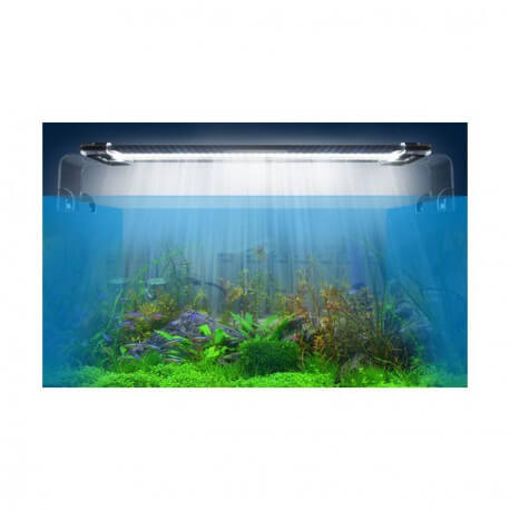 Eclairage Aquarium LED, Rampe 30 LED pour Aquarium d'eau Douce, Lumière  Aquarium Plantes - Cdiscount