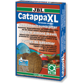 JBL CATAPPA XL feuille de badamier