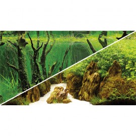 Poster 30X60 Canyon / Woodland