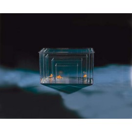 Savic Cuve 2,6L - Aquarium Plastique
