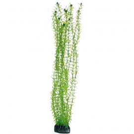 Hobby Plante artificielle Lagarosiphon 60cm