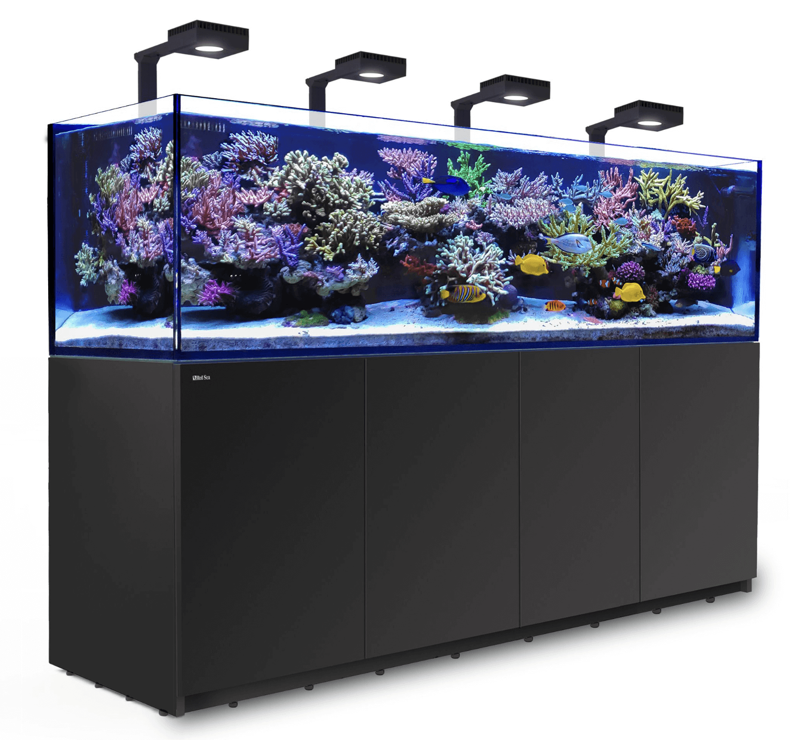 SUPERFISH QUBIQ 30 PRO NOIR - Aquaplante