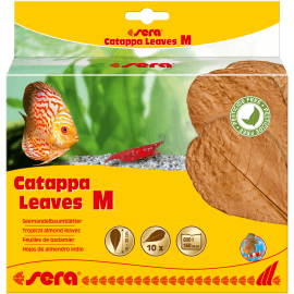 sera Catappa Leaves M 16–20cm