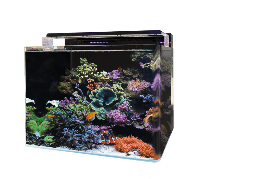 Filtre Externe 2000 l/h pour aquarium eau douce et eau de mer : Avec  accessoires - Le Poisson Qui Jardine