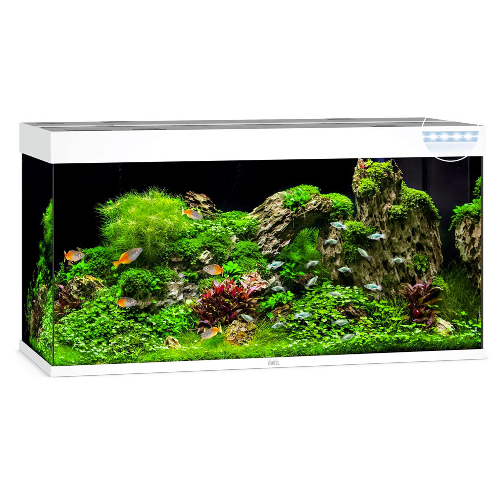 JUWEL - Vision 180 LED Blanc - Aquarium tout équipé - Livraison gratuite