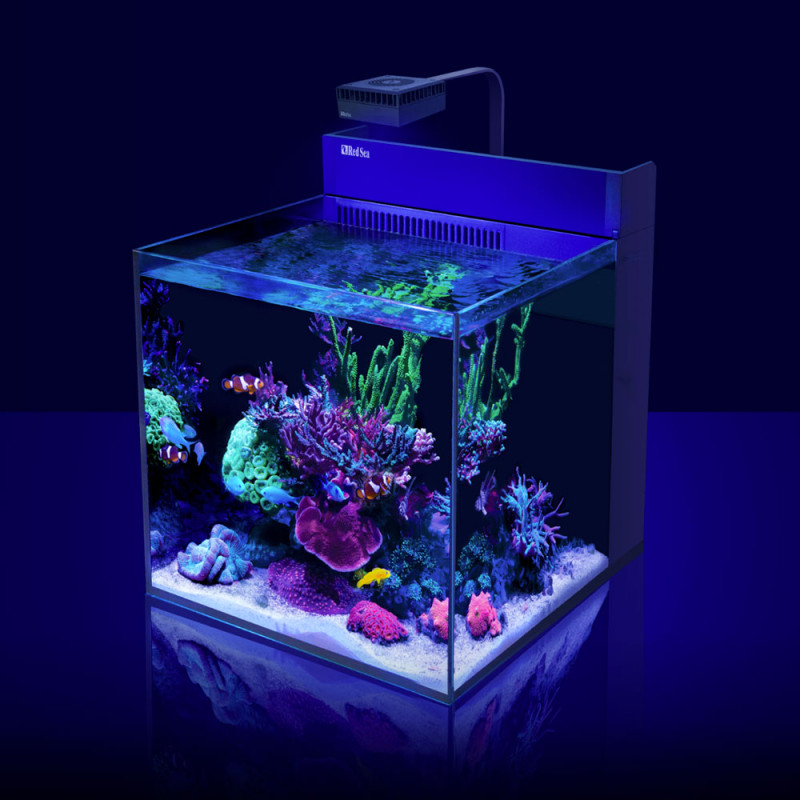 Aquarium récifal complet - Red Sea Max® Nano G2 XL avec meuble blanc