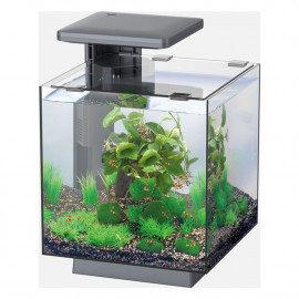 SUPERFISH QUBIQ 15 LED Noir -  Aquarium équipé