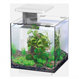 SUPERFISH QUBIQ 15 LED blanc -  Aquarium équipé