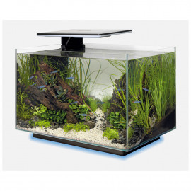 SUPERFISH QUADRO 40 MULTI COLOUR NOIR - Aquarium équipé