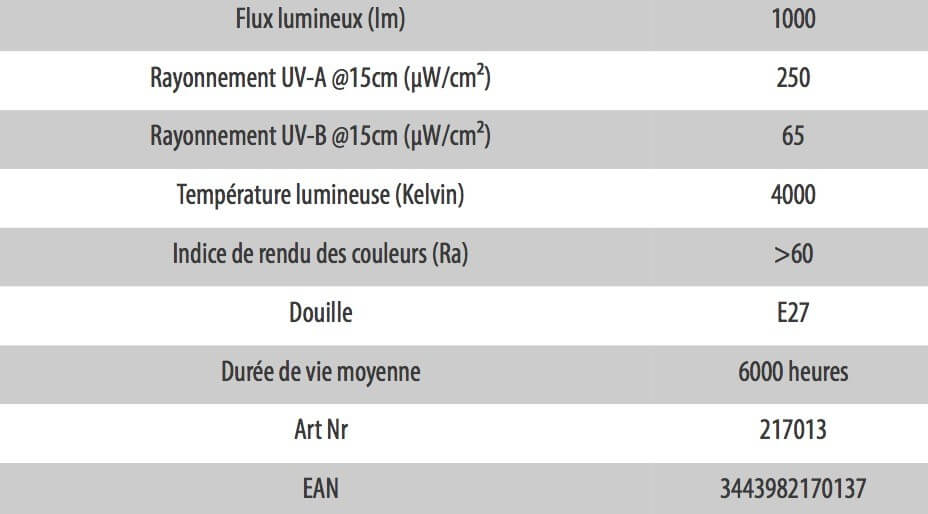 descriptif technique