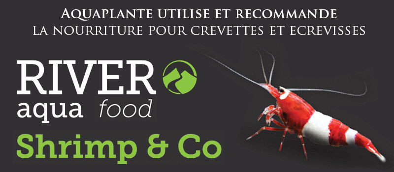 River aqua Food Shrimp & Co