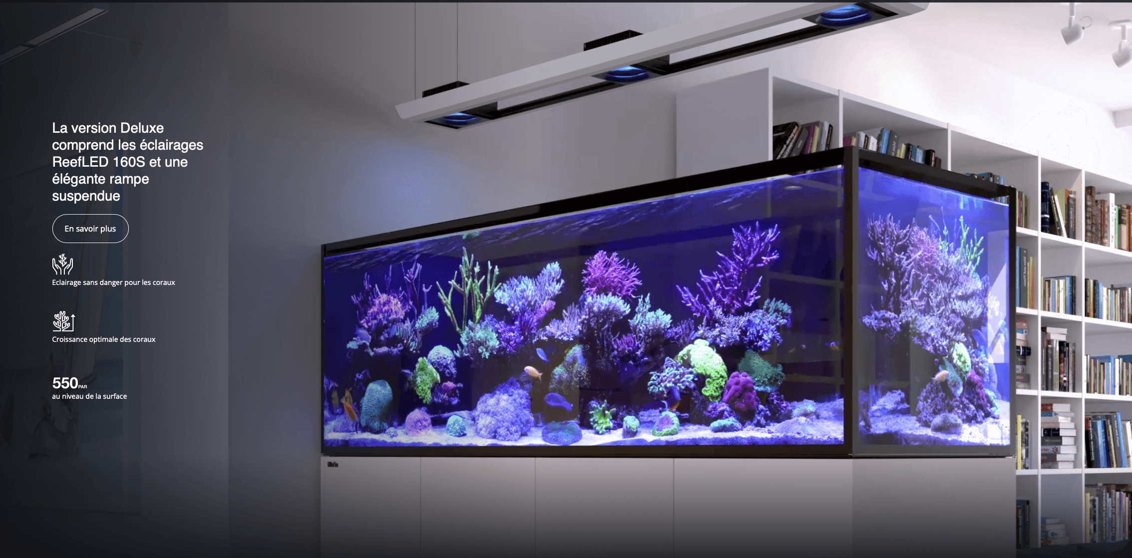 Aquarium eau de mer avec un meuble coloris blanc Reefer™ Deluxe XXL 625 Red  Sea - 150 x 65 x 148 cm : RedSea RED SEA animalerie - botanic®