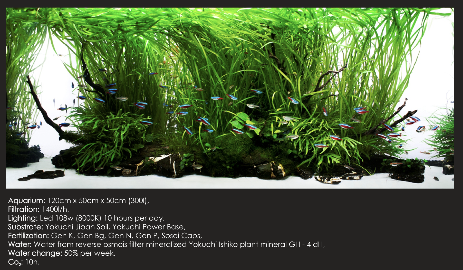 exemple de fertilisation avec le programme Yokuchi GEN