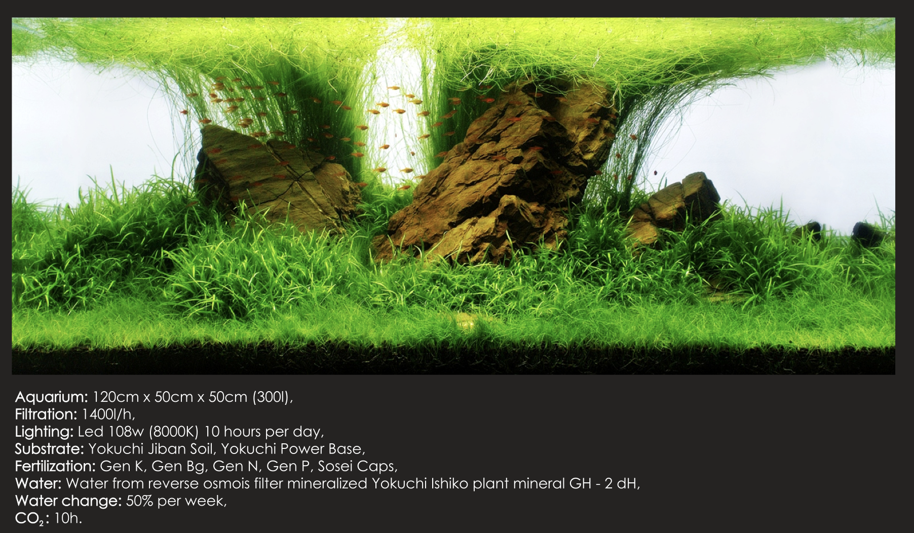 exemple de fertilisation avec Yokuchi GEN BG