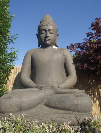 illustration seda bouddha assis méditation