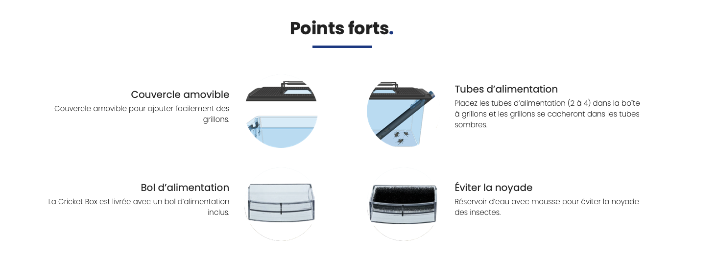 points forts repo cricket box