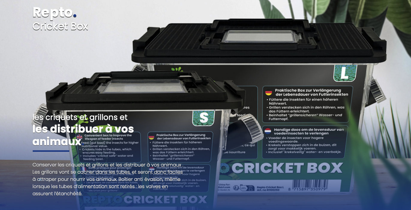 illustration repot cricket box
