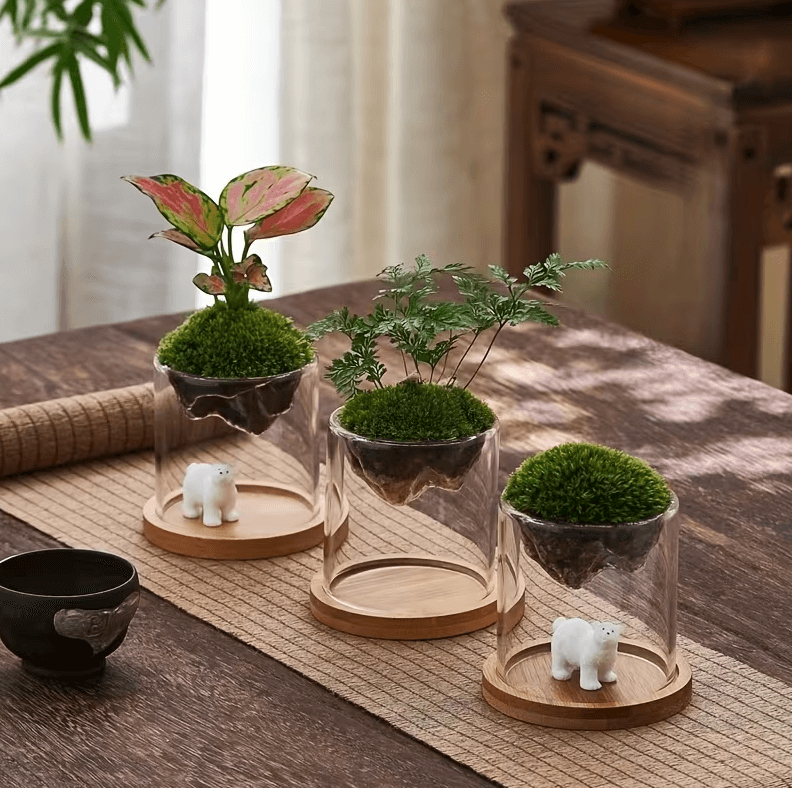 illustration aquaplante support de plante décoratif