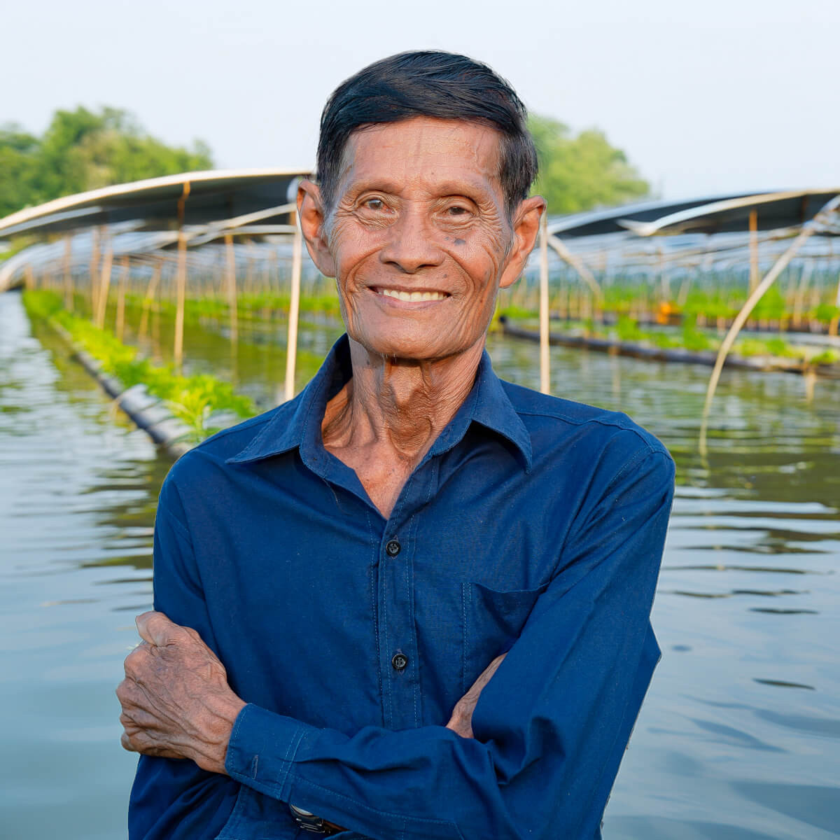 Maître éleveur spécialisé Ranchu Rouge grade AAA — ferme aquacole Asie du Sud-Est — sélection Aquaplante