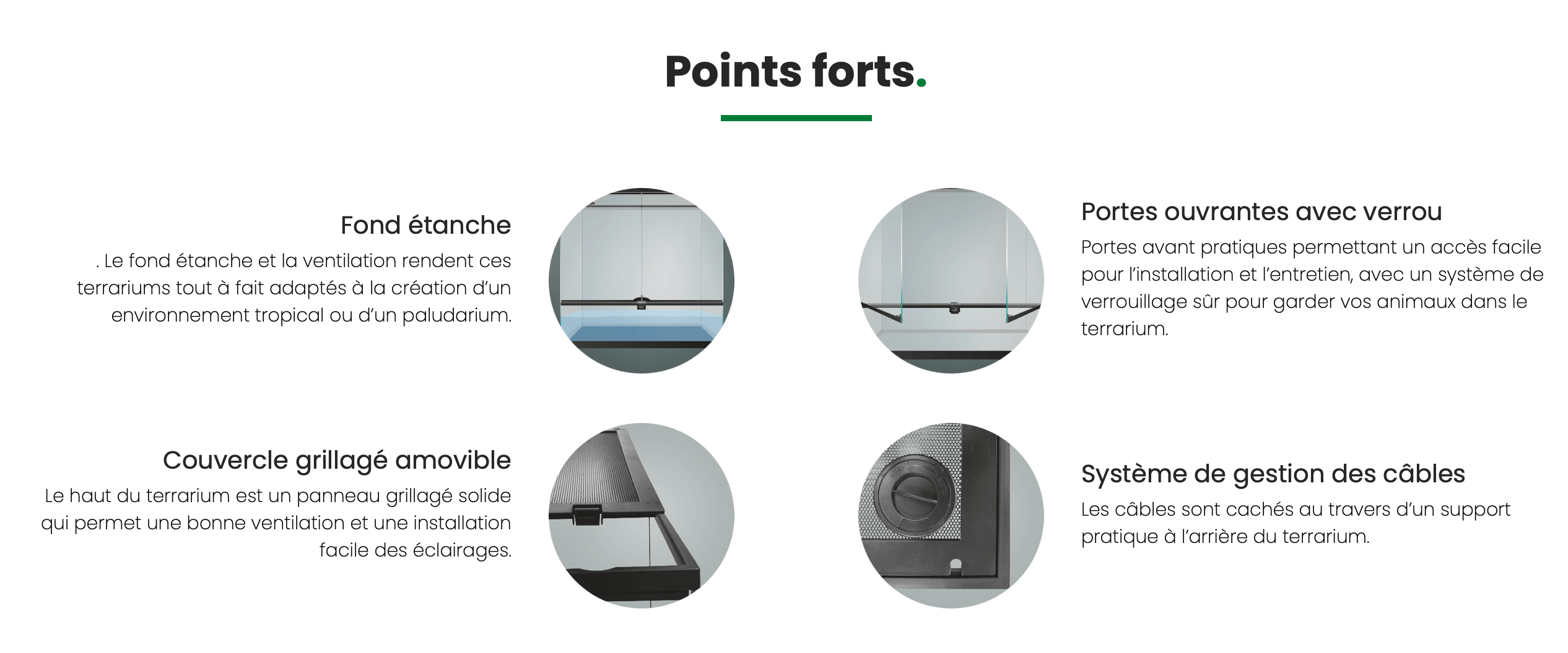 Présentation des points forts du repto terra