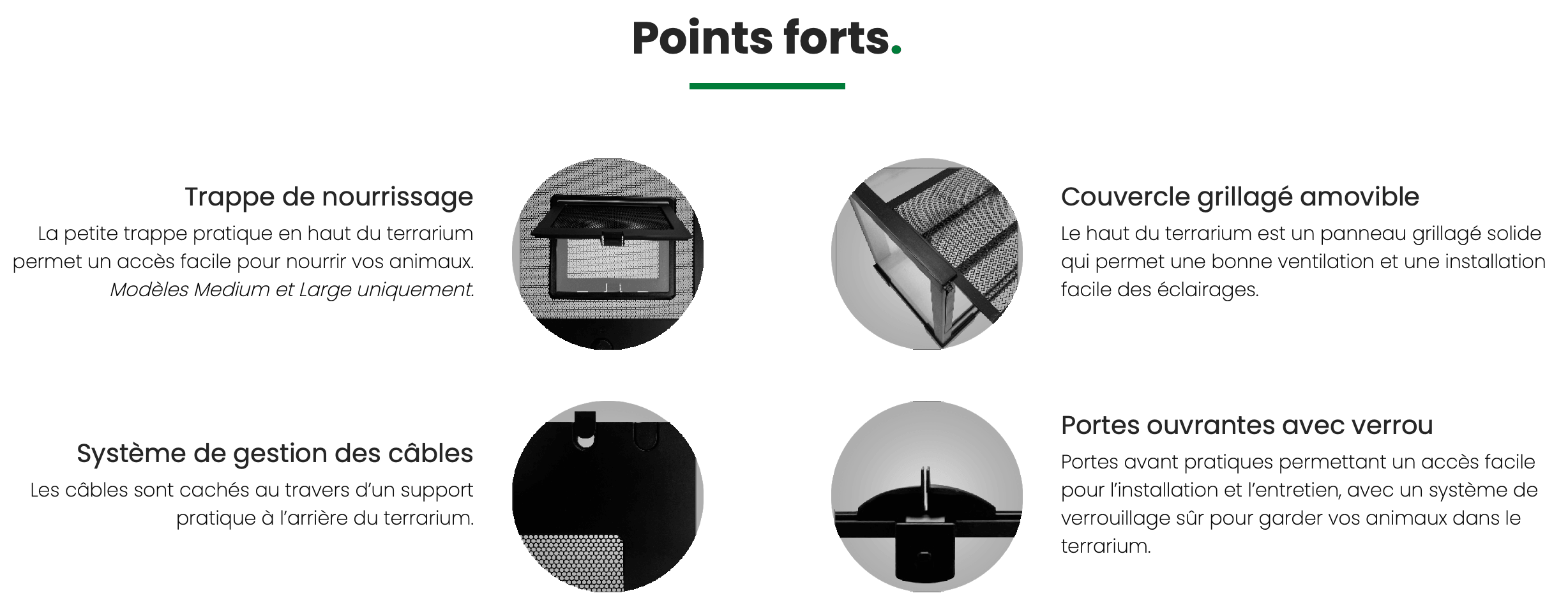 points forts Repto terra earth