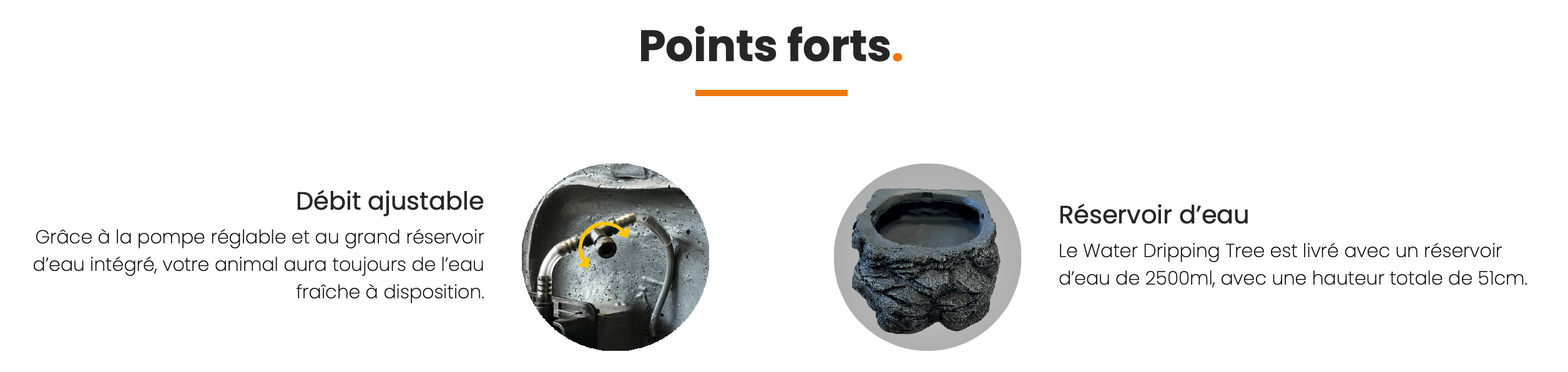 points forts rapt water dripping tree