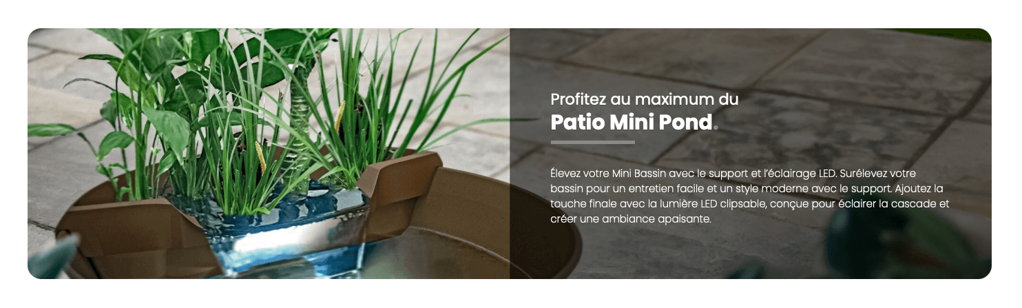 illustration superfish patio mini pond