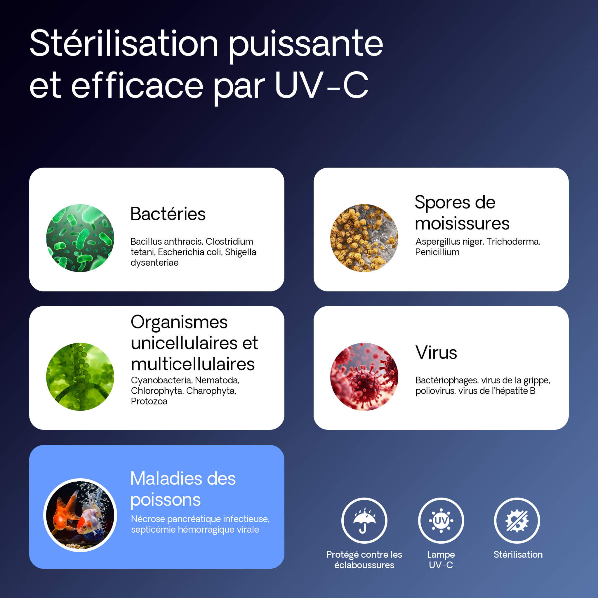 SunSun CUV-224 elimine bacteries virus moisissures maladies poissons