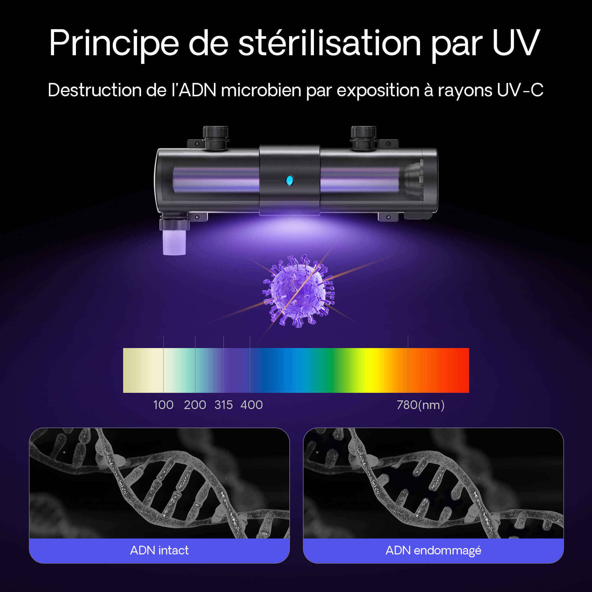 SunSun CUV-2072 principe sterilisation UV-C spectre destruction ADN bacteries