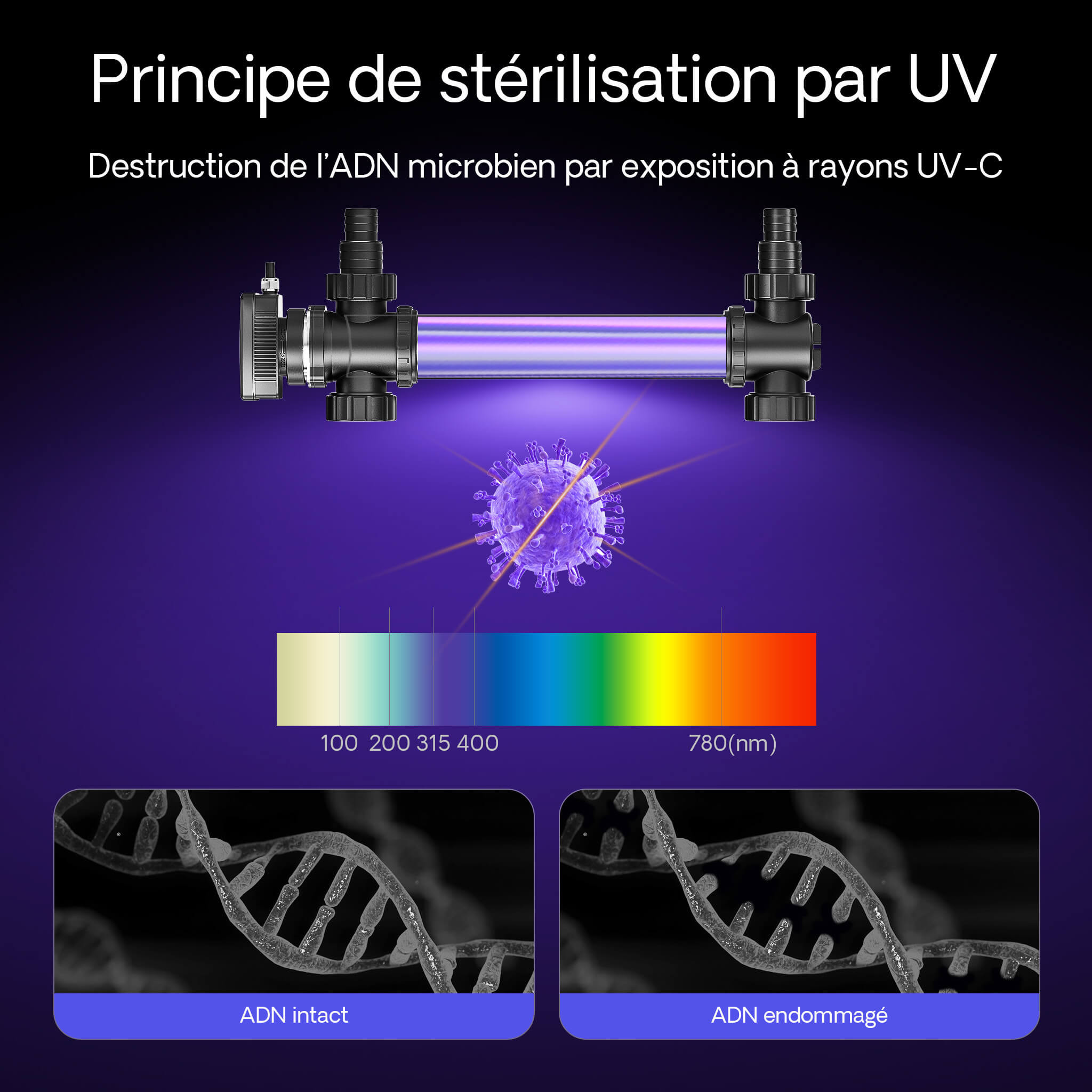 SunSun CUV-755 principe de sterilisation par UV-C sur ADN microbien